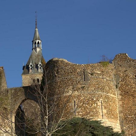 Gite "La Mesangerie" Villa Château-Renard Eksteriør bilde